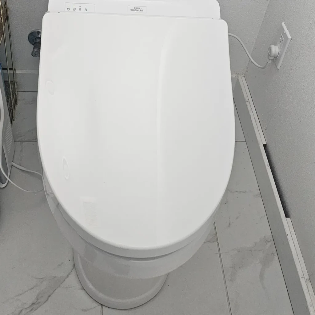Modern toilet with bidet features