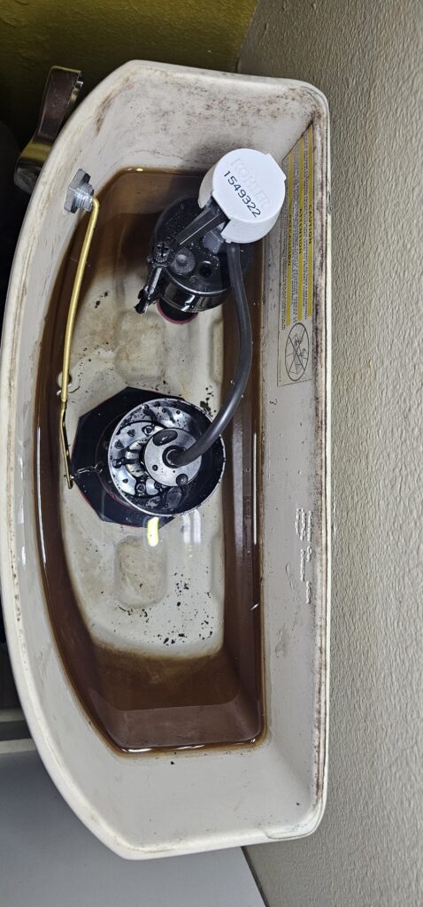 Two Toilet Tank Rebuilds in Bothell, WA