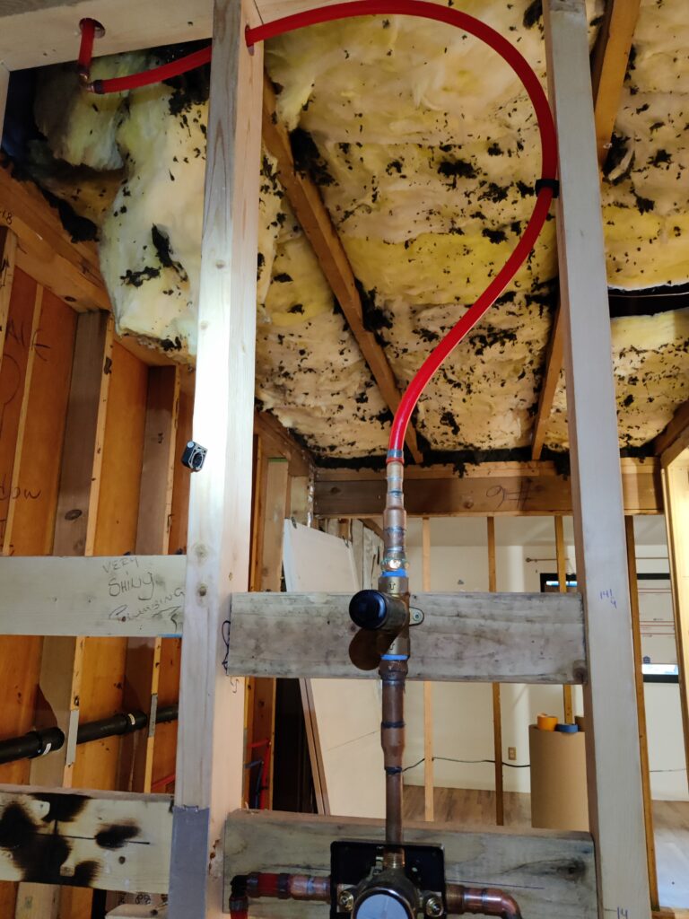 Bathroom Sink and Shower Rough-In in Kirkland, WA job photo 6 in Kirkland, WA