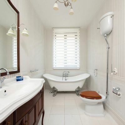 toilet not flushing